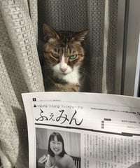 ふぇみん2022年5月5日号（3318号）