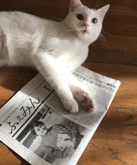 ふぇみん2023年3月5日号（3346号）