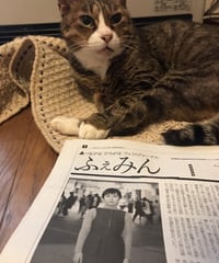 ふぇみん2022年11月25日号（3337号）