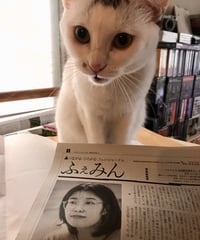 ふぇみん2023年5月25日号（3353号）