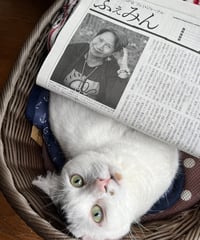 ふぇみん2024年5月25日号（3386号）