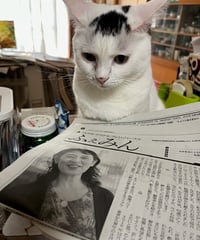 ふぇみん2024年10月15日号（3399号）