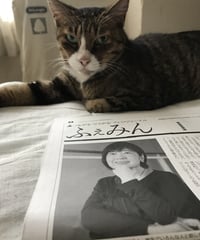ふぇみん2022年6月15日号（3322号）