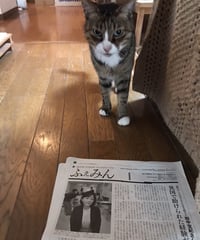 ふぇみん2022年5月15日号（3319号）