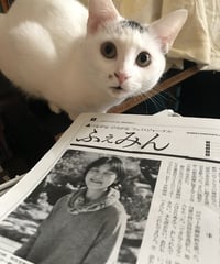 ふぇみん2022年12月5日号（3338号）