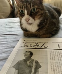 ふぇみん2021年9月5日号（3296号）