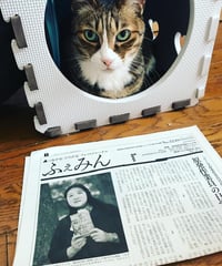 ふぇみん2020年4月5日号（3249号）