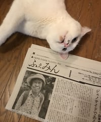 ふぇみん2023年9月5日号（3362号）