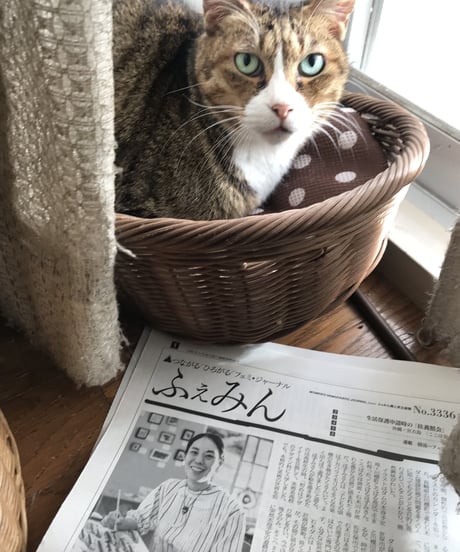 ふぇみん2022年11月15日号（3336号）