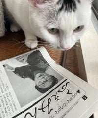 ふぇみん2024年２月15日号（3377号）