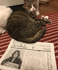 ふぇみん2022年4月15日号（3316号）