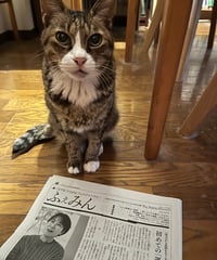 ふぇみん2025年4月25日号（3416号）
