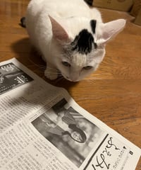 ふぇみん2023年2月25日号（3378号）