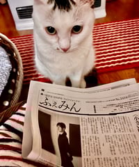 ふぇみん2025年2月15日号（3410号）