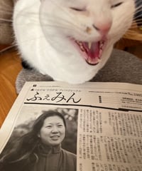 ふぇみん2024年12月15日号（3405号）