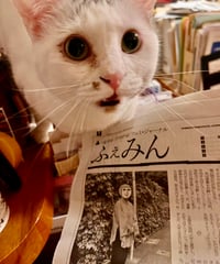 ふぇみん2024年6月5日号（3387号）