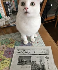 ふぇみん2024年1月1日号（3373号）