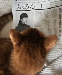 ふぇみん2020年11月25日号(3271号)