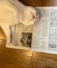 ふぇみん2024年1月15日号（3374号）