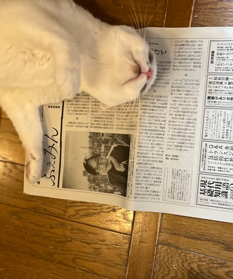 ふぇみん2024年1月15日号（3374号）
