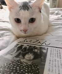 ふぇみん2023年12月5日号（3371号）