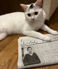 ふぇみん2025年７月15日号（3424号）