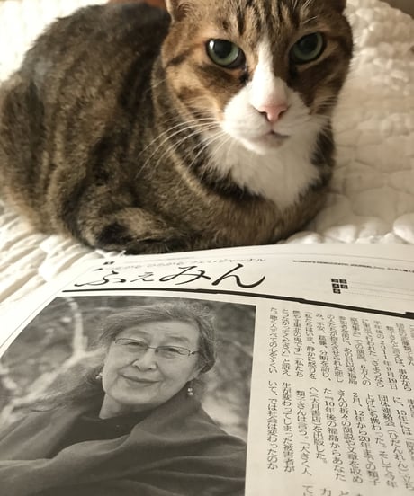 ふぇみん2021年3月15日号(3281号)