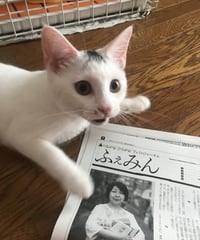 ふぇみん2022年8月5日号（3327号）