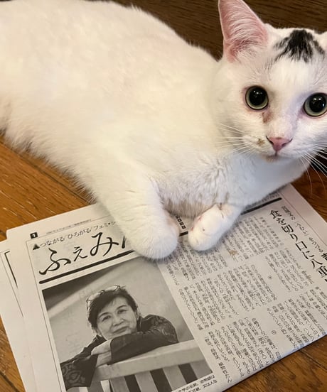 ふぇみん2024年9月5日号（3395号）