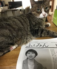 ふぇみん2022年6月25日号（3323号）