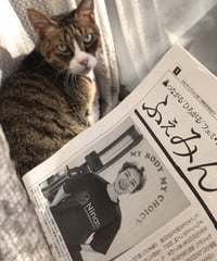 ふぇみん2022年11月5日号（3335号）