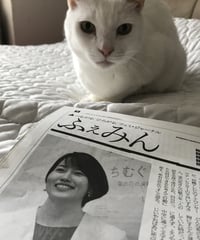 ふぇみん2020年4月15日号（3250号）