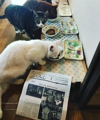 ふぇみん2020年1月1日号（3241号）