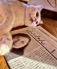 ふぇみん2024年6月15日号（3388号）
