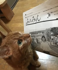ふぇみん2021年8月15日号（3295号）