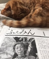 ふぇみん2021年5月15日号（3286号）