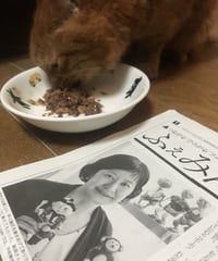 ふぇみん2020年9月25日号（3265号）