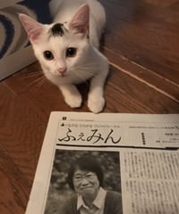 ふぇみん2022年7月5日号（3324号）