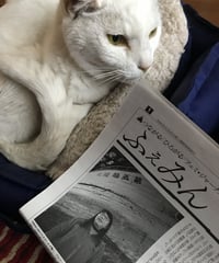 ふぇみん2022年２月25日号（3312号）