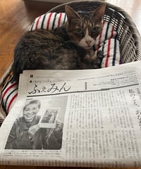 ふぇみん2024年4月15日号（3382号）