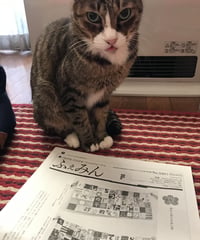 ふぇみん2022年1月1日新年号（3307号）