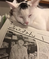 ふぇみん2023年7月25日号（3359号）