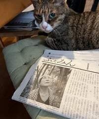 ふぇみん2024年7月5日号（3390号）