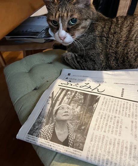 ふぇみん2024年7月5日号（3390号）