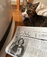 ふぇみん2024年12月5日号（3404号）