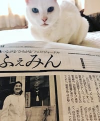 ふぇみん2020年5月5日号（3252号）