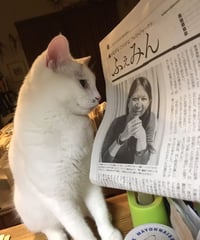 ふぇみん2023年６月25日号（3356号）