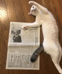ふぇみん2022年9月5日号（3329号）