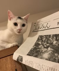 ふぇみん2023年3月15日号（3347号）