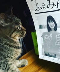 ふぇみん2020年6月5日号(3255号)